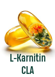 L-Karnitin ve CLA